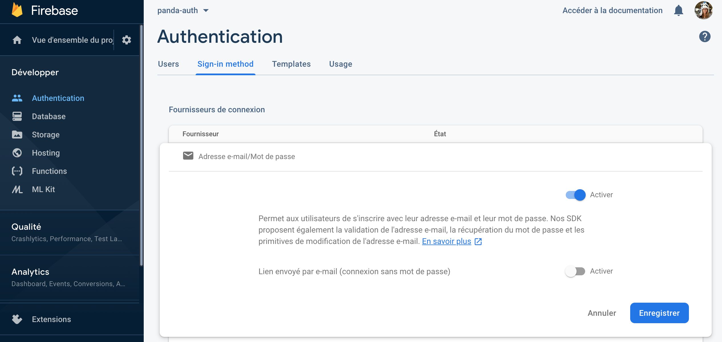 Enabling email and password authentication in Firebase