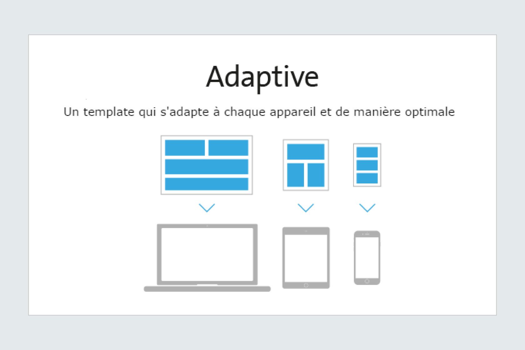 Exemple de layout Jellyfish