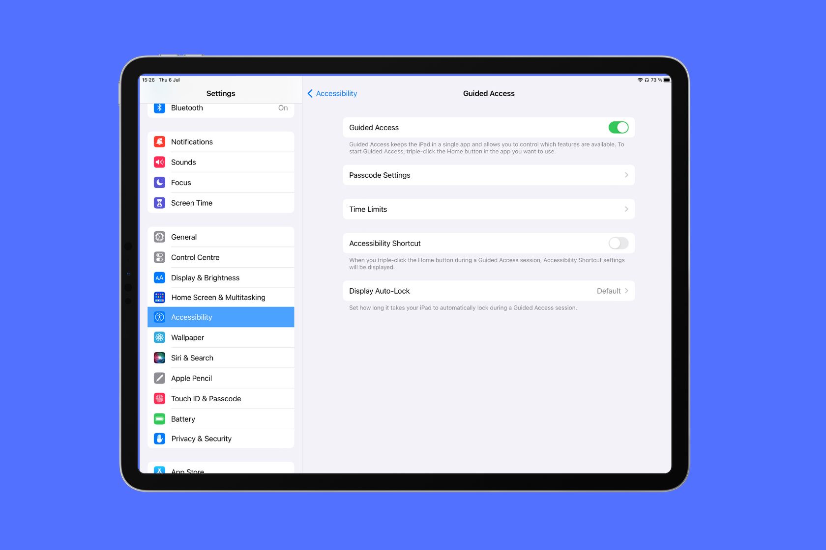 iPad guided access setup