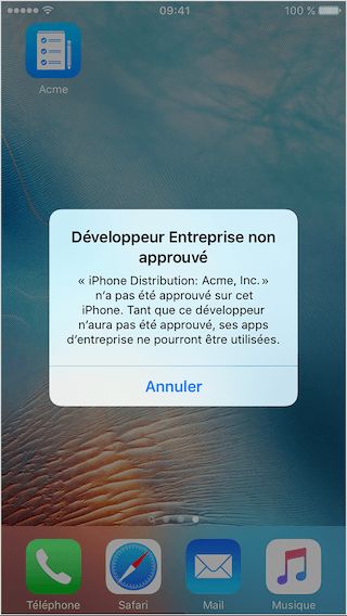 iphone6 ios9 enterprise untrusted enterprise app