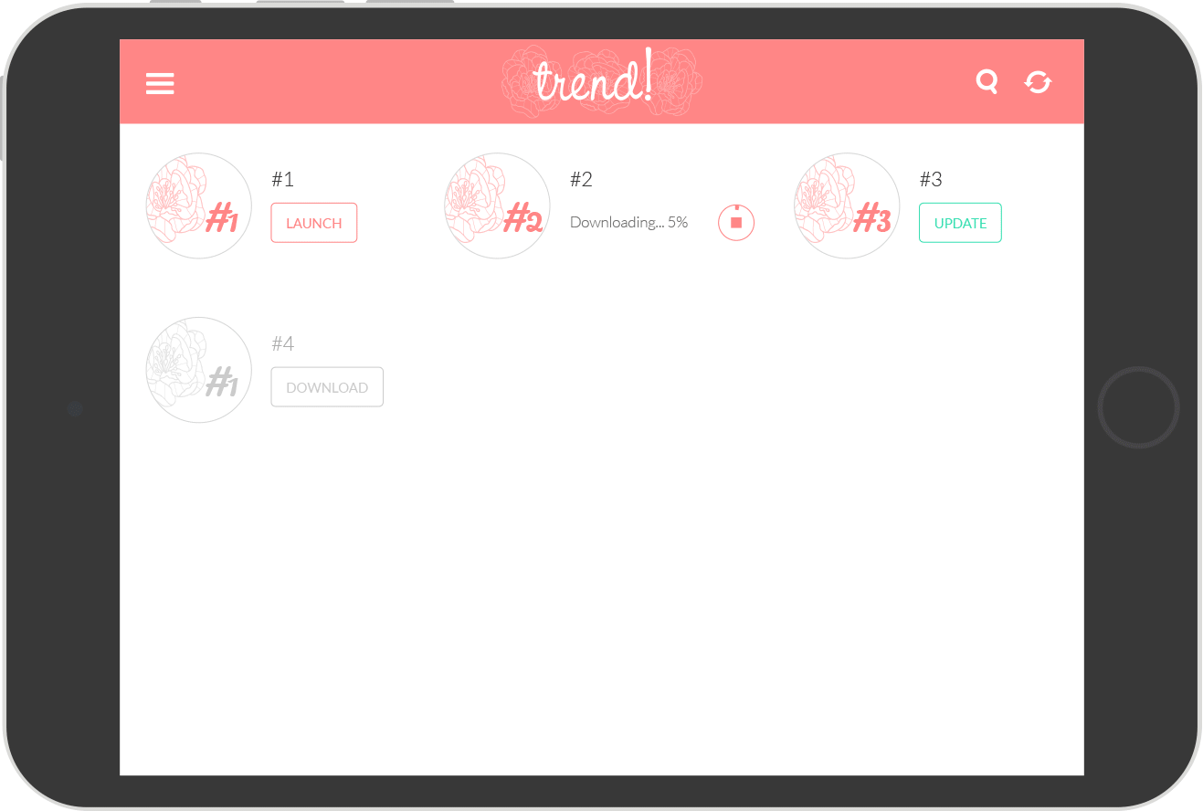 Customizing hub interface