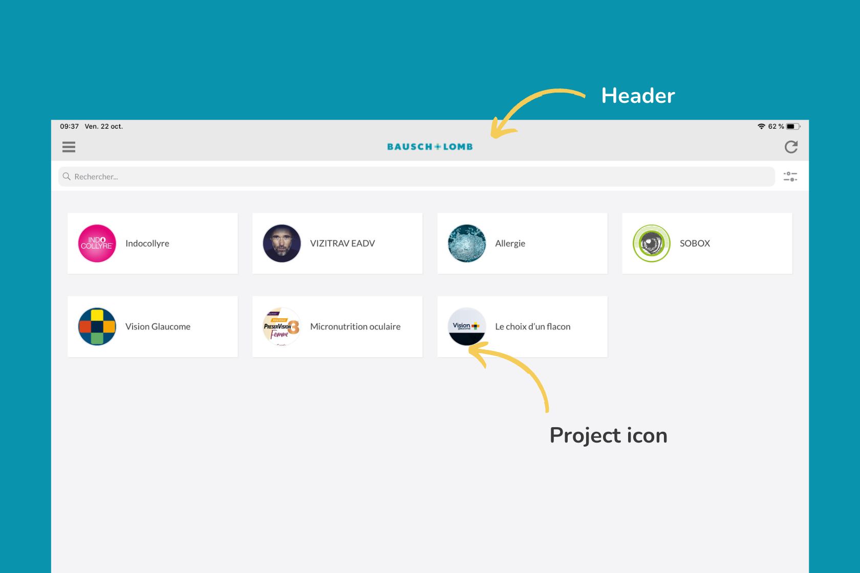 Project logo customization