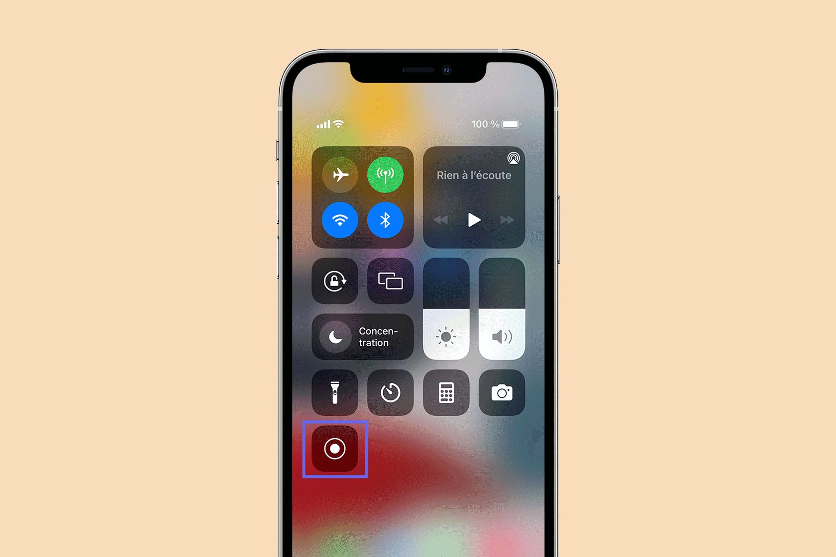 Screen capture instruction on iphone