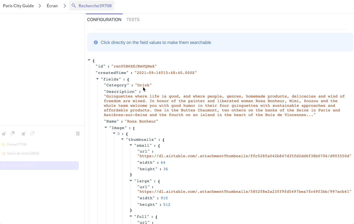 search field configuration